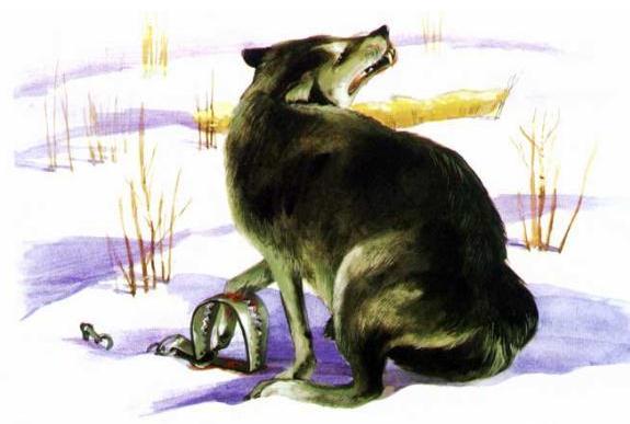 Нағыз блять в жопу орыс